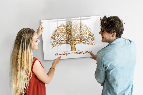 Dry erase board magnetic Family tree with space for photos
