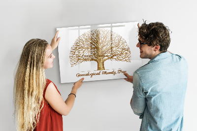 Dry erase board magnetic Family tree with space for photos