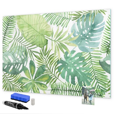 Magnetic dry erase board Green board for photos and notes