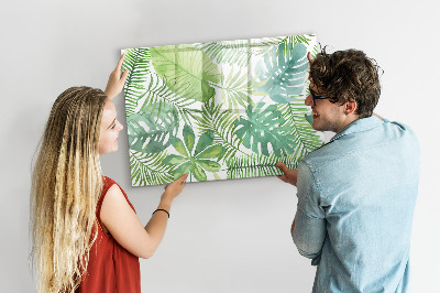 Magnetic dry erase board Green board for photos and notes