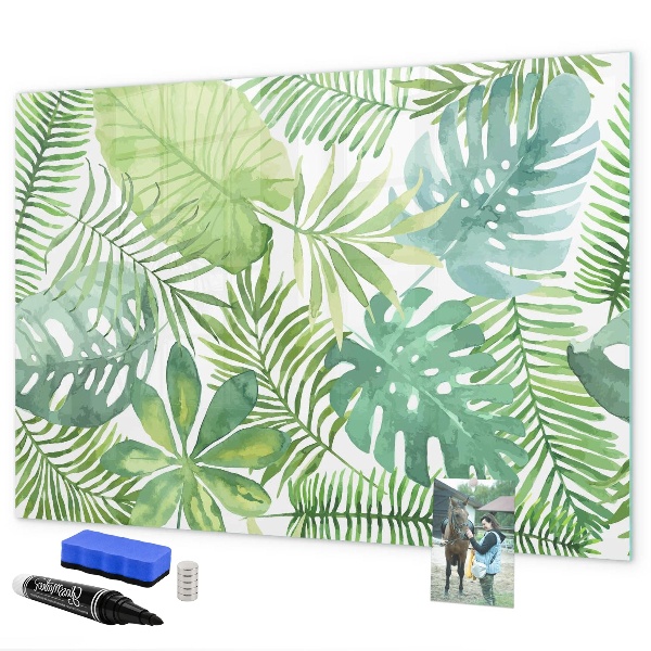 Magnetic dry erase board Green board for photos and notes