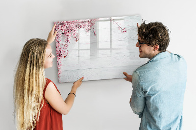 Magnetic dry erase board A creative space for presenting photos