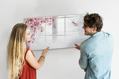 Magnetic dry erase board A creative space for presenting photos