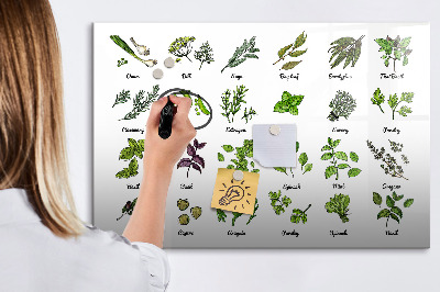 Magnetic dry erase board Herbs and photos in one place