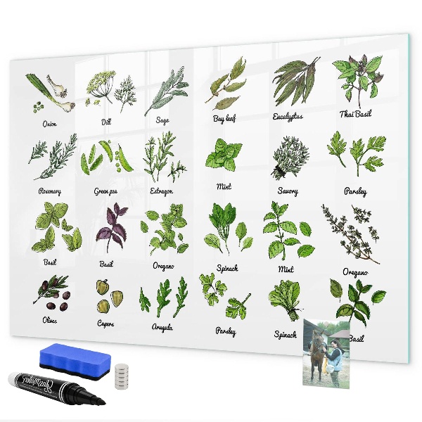 Magnetic dry erase board Herbs and photos in one place