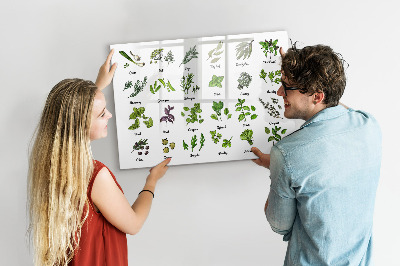 Magnetic dry erase board Herbs and photos in one place