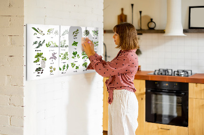 Magnetic dry erase board Herbs and photos in one place