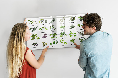 Magnetic dry erase board Herbs and photos in one place