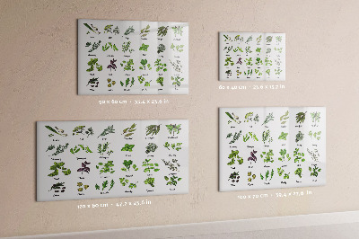 Magnetic dry erase board Herbs and photos in one place