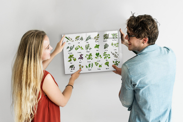 Magnetic dry erase board Herbs and photos in one place
