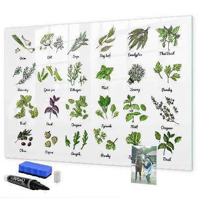 Magnetic dry erase board Herbs and photos in one place