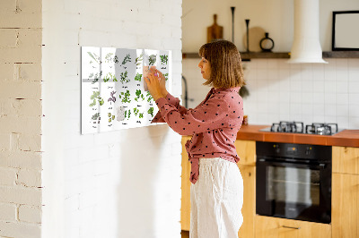 Magnetic dry erase board Herbs and photos in one place