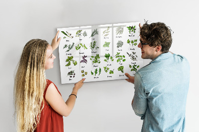 Magnetic dry erase board Herbs and photos in one place