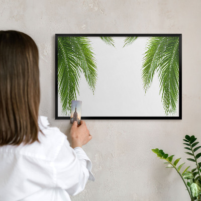 Metal wall board for magnets in a black frame Exotic nature