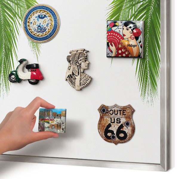 Souvenir magnet display board with a silver frame Exotic nature