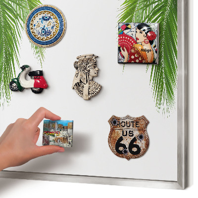 Souvenir magnet display board with a silver frame Exotic nature