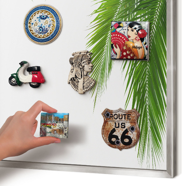 Souvenir magnet display board with a silver frame Exotic nature