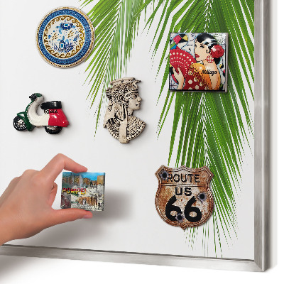 Souvenir magnet display board with a silver frame Exotic nature