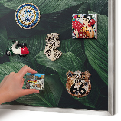 Printed magnet board in a silver frame The greenery of nature