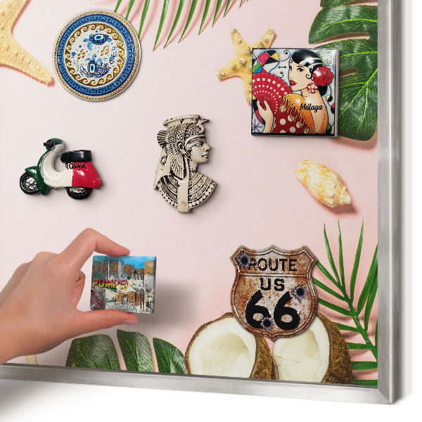 Souvenir magnet display board with a silver frame Tropical vacation
