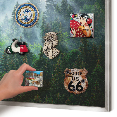 Souvenir magnet display board with a silver frame Mysterious forest