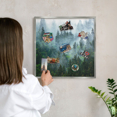 Souvenir magnet display board with a silver frame Mysterious forest
