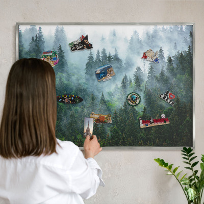 Souvenir magnet display board with a silver frame Mysterious forest