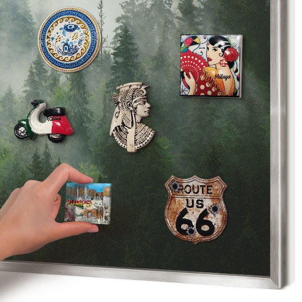 Souvenir magnet display board with a silver frame Forest magic