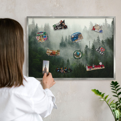 Souvenir magnet display board with a silver frame Forest magic