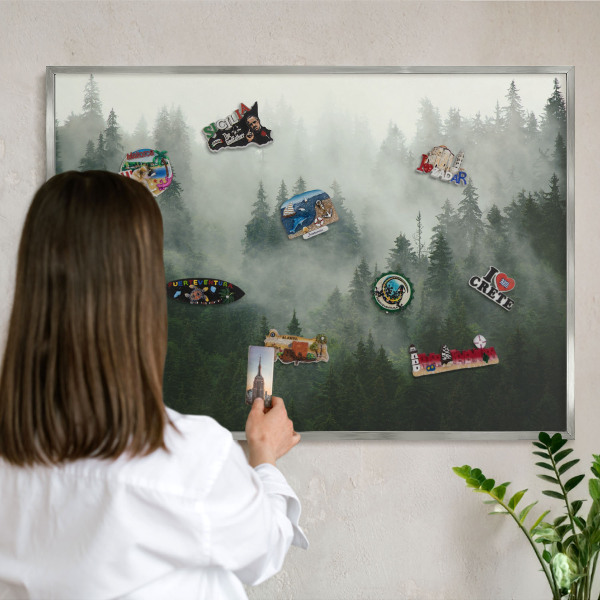 Souvenir magnet display board with a silver frame Forest magic