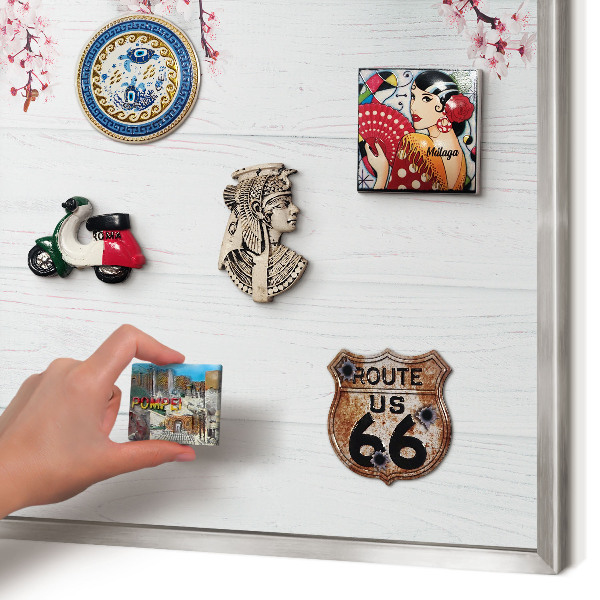 Souvenir magnet display board with a silver frame Blooming Elegance