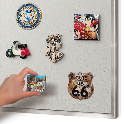 Souvenir magnet display board with a silver frame Plant pattern