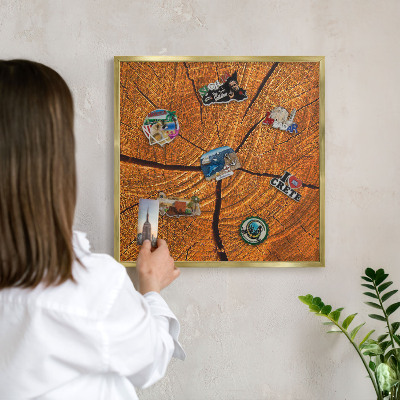 Magnetic board for magnets in a gold frame Wood grain