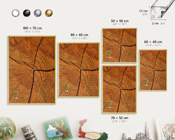 Magnetic board for magnets in a gold frame Wood grain