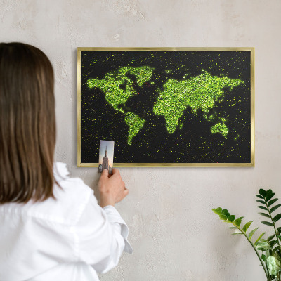 Magnetic board for magnets in a gold frame Green map