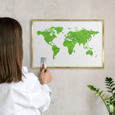 Magnetic board for magnets in a gold frame Green map