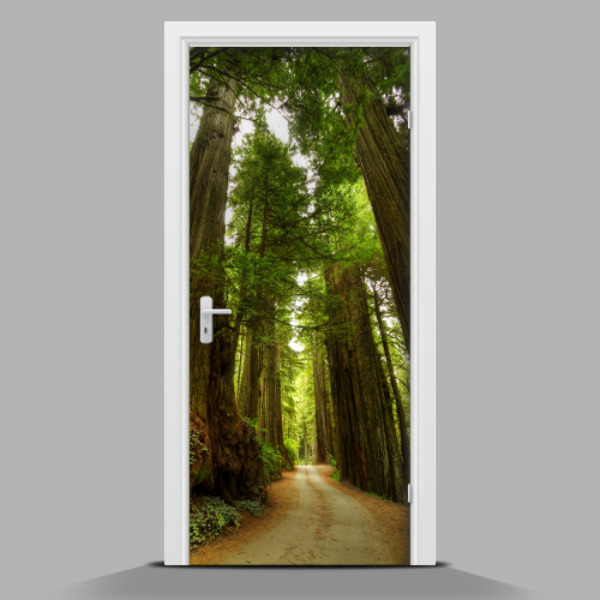 Door mural Road through the forest