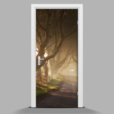 Door mural Giant trees