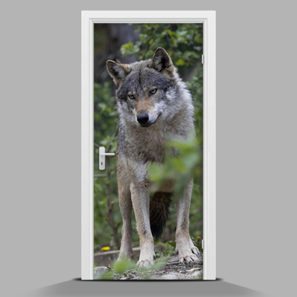 Door sticker mural Dignified wolf