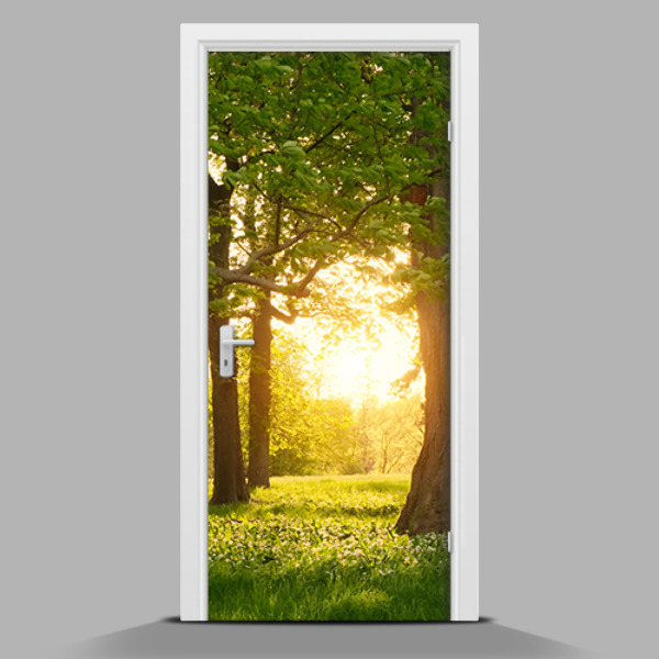 Door mural sticker The sun among the trees