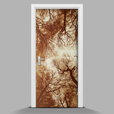 Door sticker mural Gloomy forest