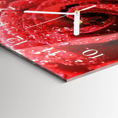 Square wall clock Rose