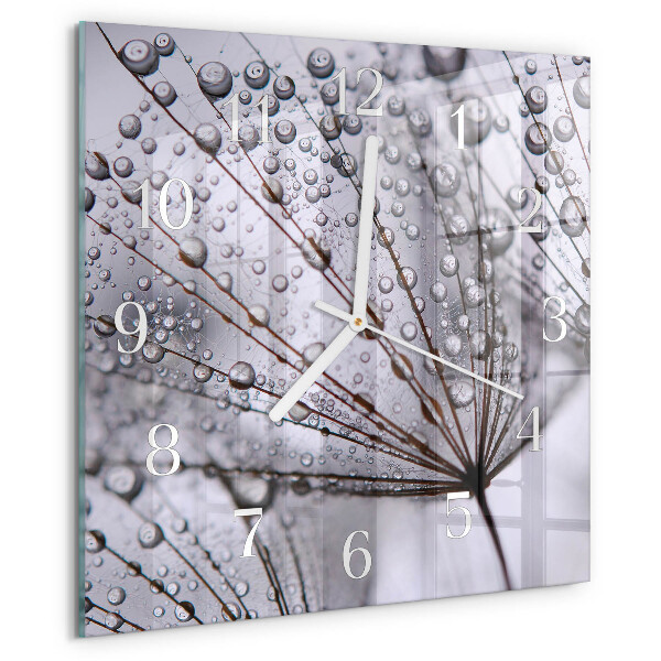 Square wall clock Dandelion