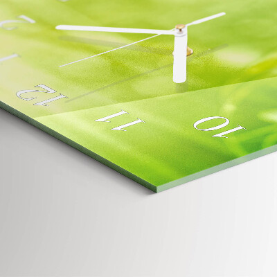 Square wall clock Grass