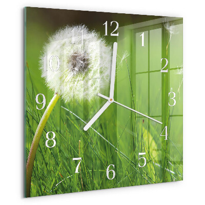 Square wall clock Dandelion