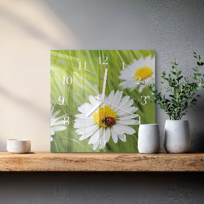 Square wall clock Daisies