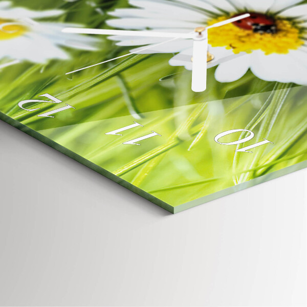 Square wall clock Daisies