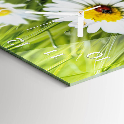 Square wall clock Daisies