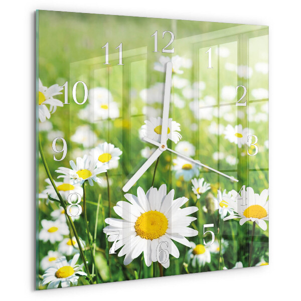Square wall clock Daisies