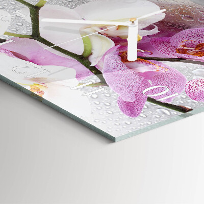 Square wall clock Orchid